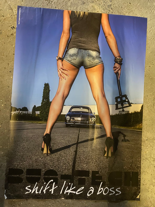 Bug-tech Ghia poster